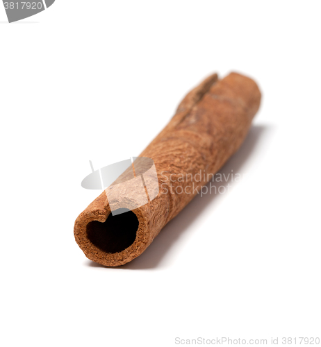 Image of Cinnamon stick isolated on white