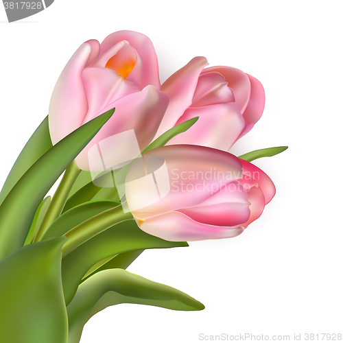 Image of Beautiful bouquet of pink tulips. EPS 10