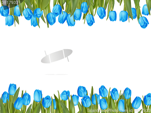 Image of Isolated tulip frame arrangement. EPS 10