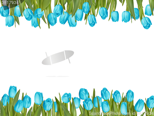 Image of Isolated tulip frame arrangement. EPS 10