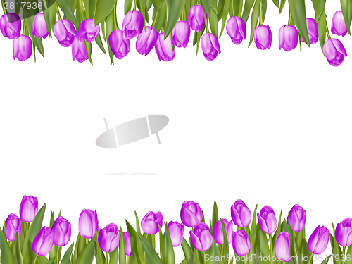Image of Isolated tulip frame arrangement. EPS 10