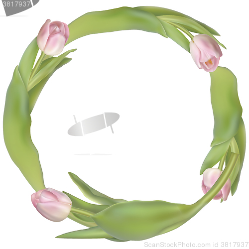 Image of Circle frame with tulips flowers. EPS 10