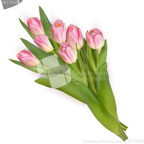 Image of Tulips isolated on white background. EPS 10