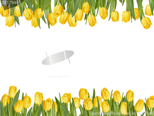 Image of Isolated tulip frame arrangement. EPS 10