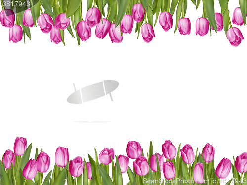 Image of Isolated tulip frame arrangement. EPS 10