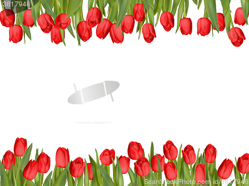 Image of Isolated tulip frame arrangement. EPS 10