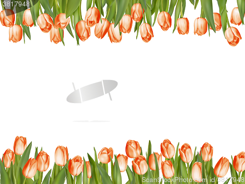 Image of Isolated tulip frame arrangement. EPS 10