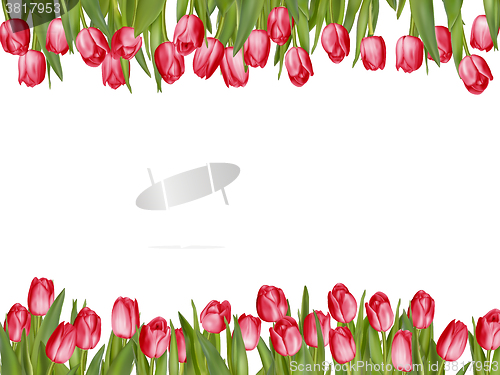 Image of Isolated tulip frame arrangement. EPS 10