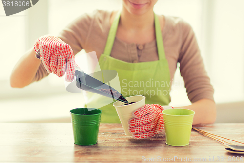 Image of close up of woman hands with trowel sowing seeds