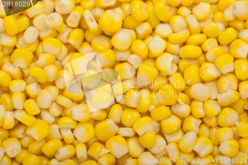 Image of Corn kernel