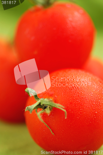 Image of Tomatoes