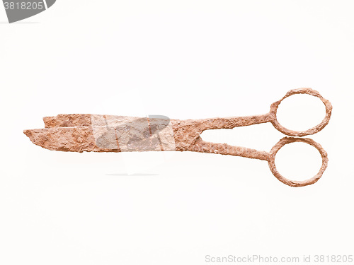 Image of  Rusted scissors vintage