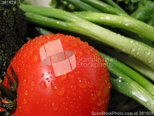 Image of Fresh vegetables