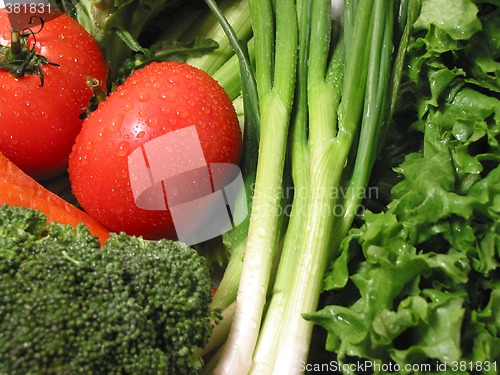 Image of Fresh wet vegetables