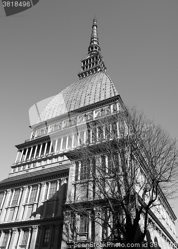 Image of Mole Antonelliana in Turin in black_and_white