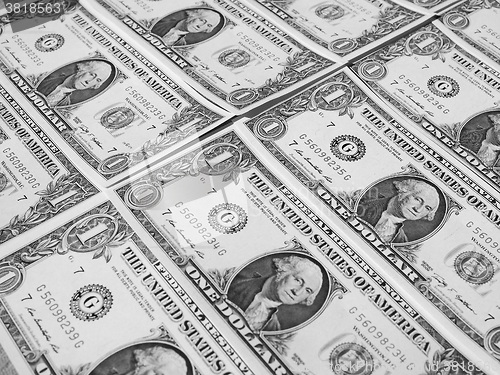 Image of Black and white Dollar notes 1 Dollar