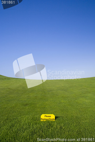 Image of Please Relace Divots