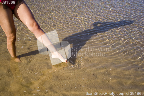 Image of Testing the water