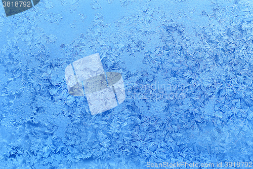 Image of Ice pattern on winter glass
