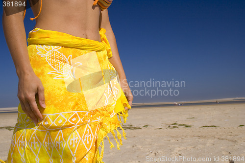 Image of Sexy skirt at the beach