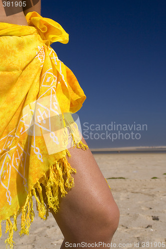 Image of Sexy skirt at the beach