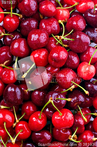 Image of Cherries