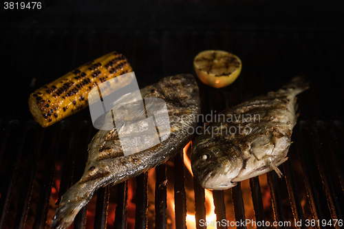 Image of Grilled dorado fish