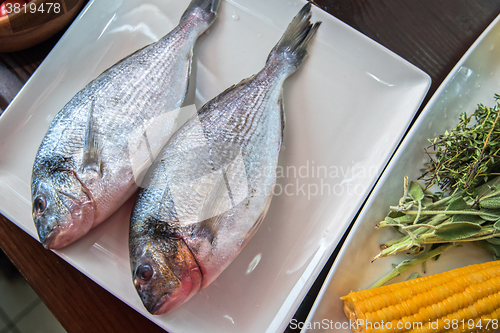 Image of Fresh uncooked dorado 