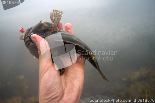 Image of sea fishing the Arctic circle