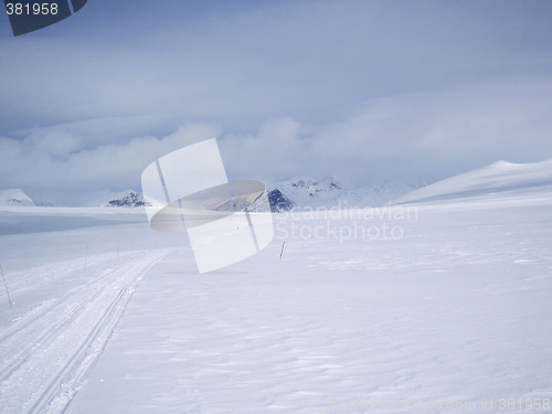 Image of Winter landscape