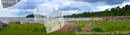 Image of Baltic Islands in height of summer: lush meadows and traveled bl