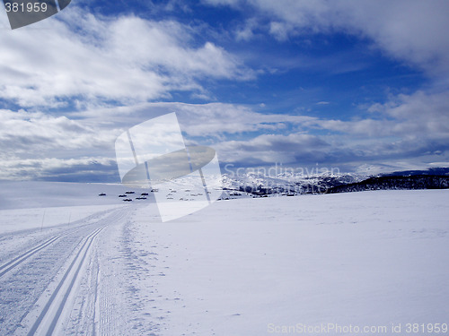 Image of Winter landscape