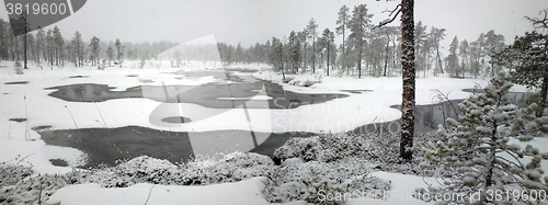 Image of First snow. Dense big snow falls over forest and river