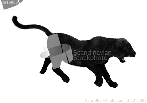 Image of Black Panther on White