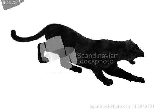 Image of Black Panther on White