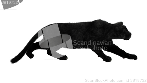 Image of Black Panther on White