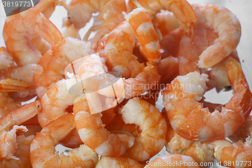 Image of Cooked shrimps close up