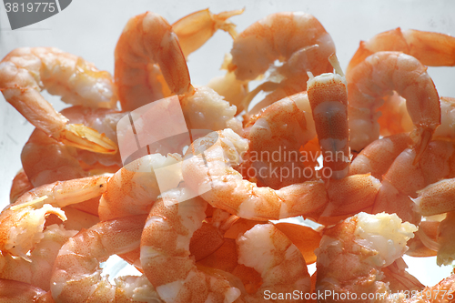 Image of Cooked shrimps close up