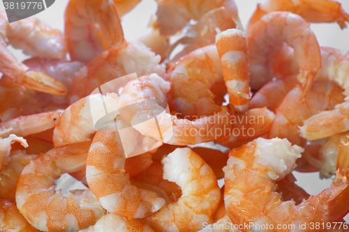 Image of Cooked shrimps close up