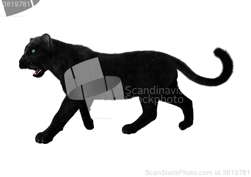 Image of Black Panther on White