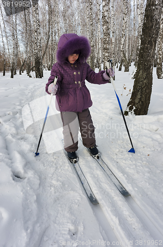 Image of Winter portrait of the girl of four years on skis