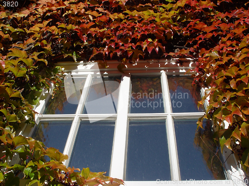 Image of autumn window