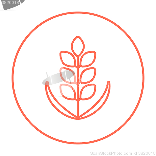 Image of Wheat line icon.