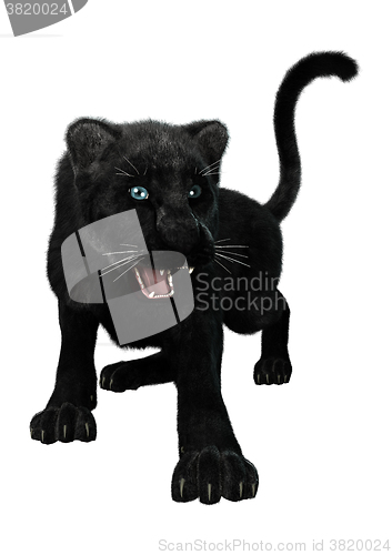 Image of Black Panther on White