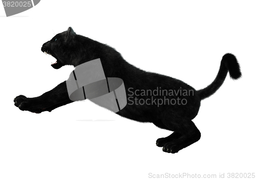 Image of Black Panther on White