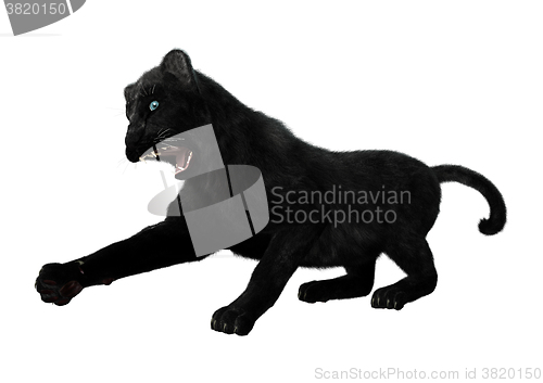 Image of Black Panther on White