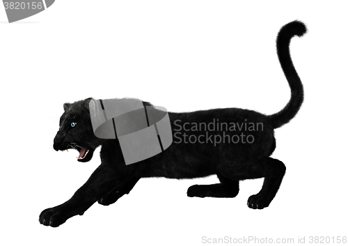 Image of Black Panther on White
