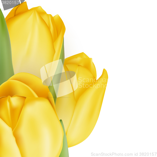 Image of Tulips decorative background. EPS 10