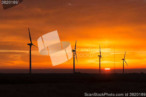 Image of Bright Orange Sunrise Signal Peak Wind Turbines Washington Green