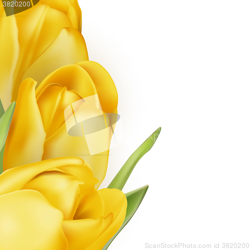 Image of Tulips decorative background. EPS 10